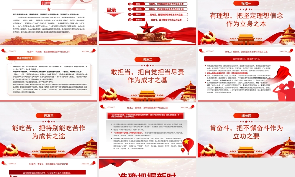 准确把握新时代好青年标准PPT新时代好青年的“四条标准”新时代好青年的“时代肖像”PPT课件（带内容）.pptx