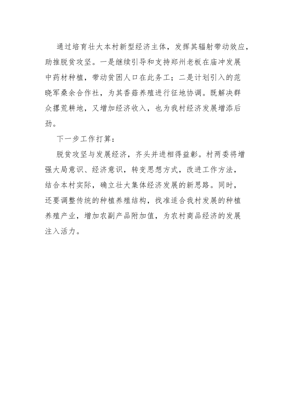 村党支部工作总结.docx_第3页