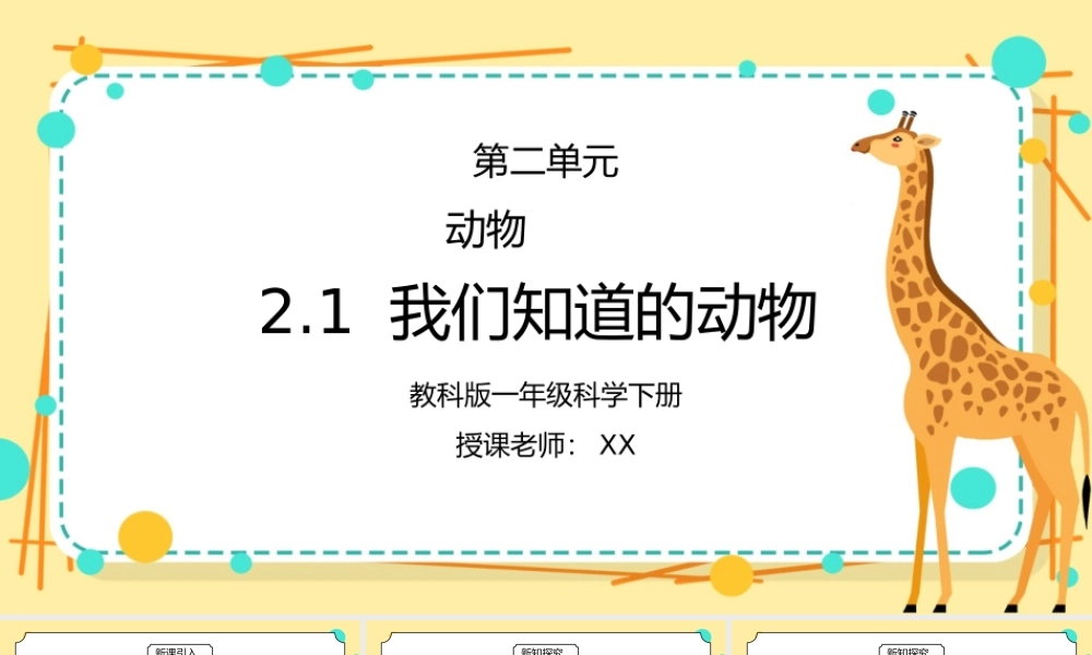 教科版一年级科学下册第二单元《动物-我们知道的动物》PPT课件.pptx