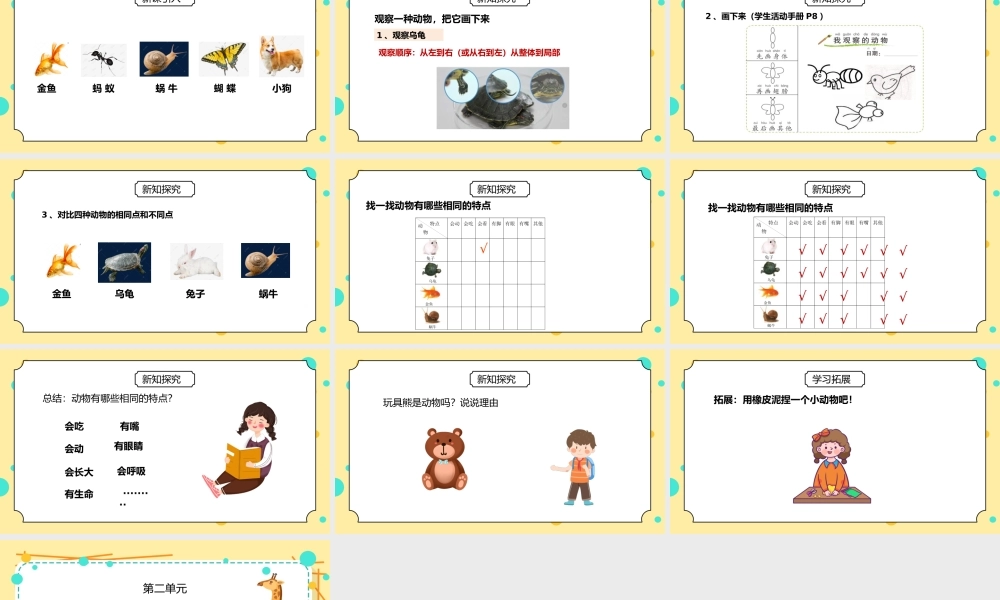 教科版一年级科学下册第二单元《动物-我们知道的动物》PPT课件.pptx