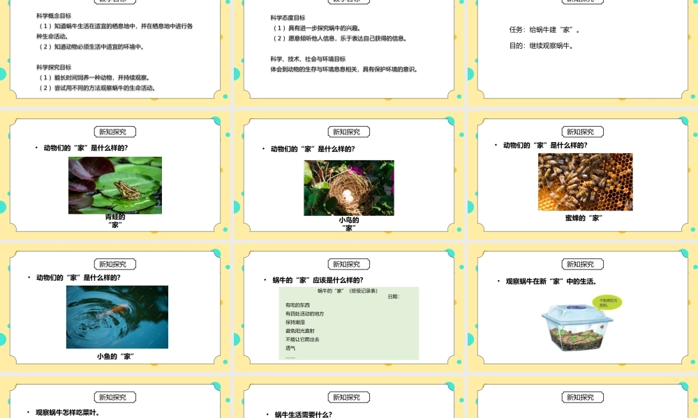 教科版一年级科学下册第二单元《动物-给动物建个“家”》PPT课件.pptx