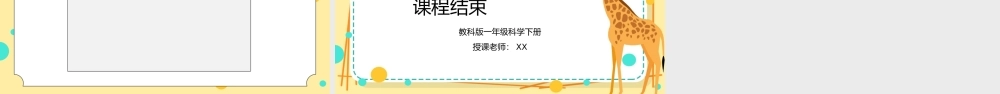 教科版一年级科学下册第二单元《动物-给动物建个“家”》PPT课件.pptx