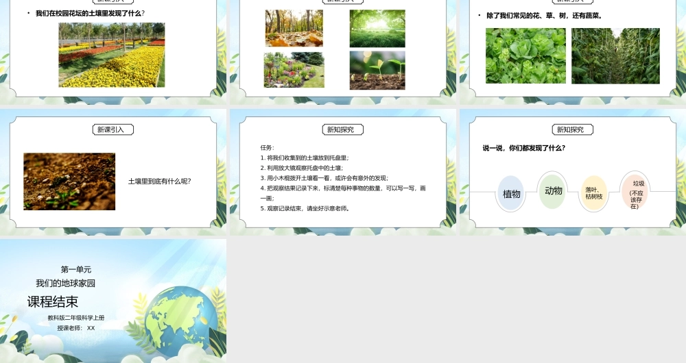 教科版二年级科学上册第一单元《我们的地球家园-动植物的乐园》PPT课件.pptx