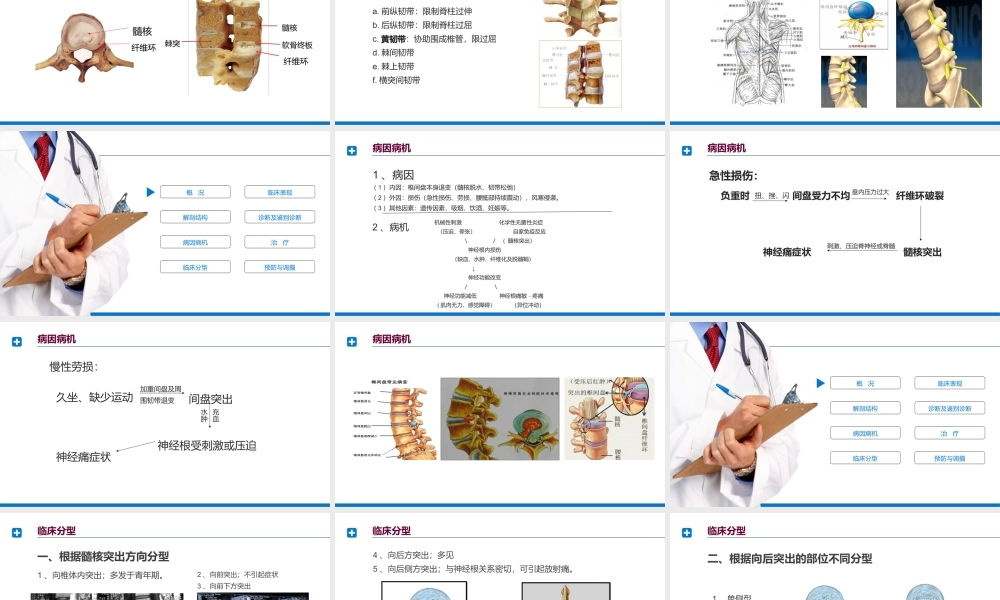 2022腰椎间盘突出症诊断与治疗PPT课件（带内容）.ppt