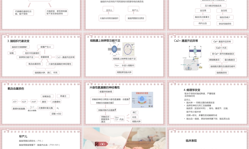 2022新生儿缺氧缺血性脑病护理查房PPT课件（带内容）.pptx