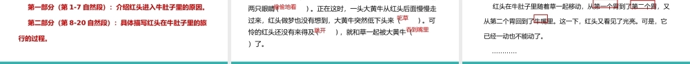 2022人教版小学三年级语文上册《在牛肚子里旅行》PPT课件（带内容）.pptx