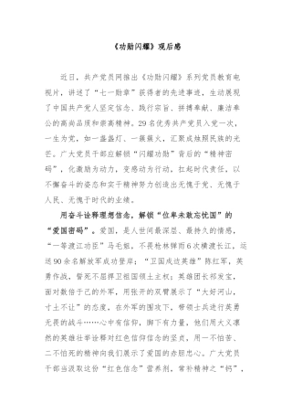 《功勋闪耀》观后感3篇.docx