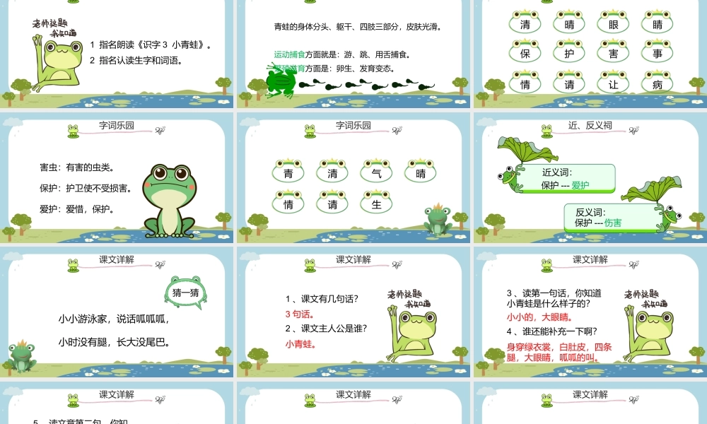2022人教版小学一年级语文下册《小青蛙》PPT课件（带内容）.pptx