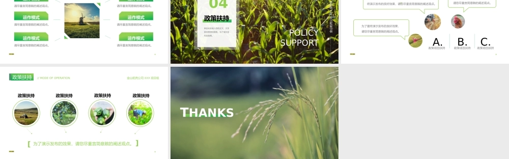 绿色小麦农产品扶贫乡村振兴项目计划书.pptx