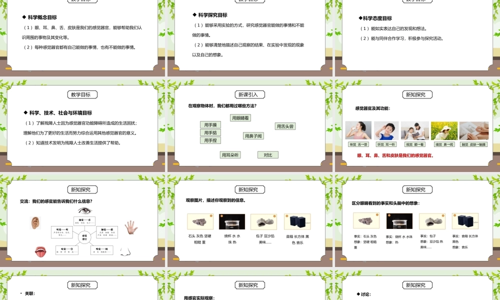 教科版二年级科学下册第二单元《我们自己-通过感官来发现》PPT课件.pptx