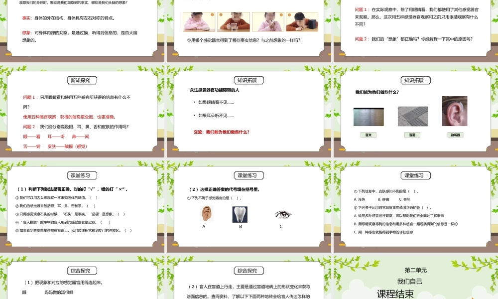 教科版二年级科学下册第二单元《我们自己-通过感官来发现》PPT课件.pptx