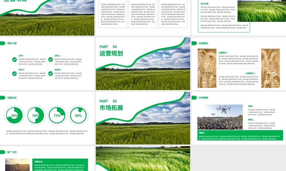 简约风农业行业商业计划书PPT.pptx