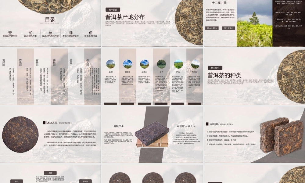 普洱茶知识普及及养生讲座PPT.pptx