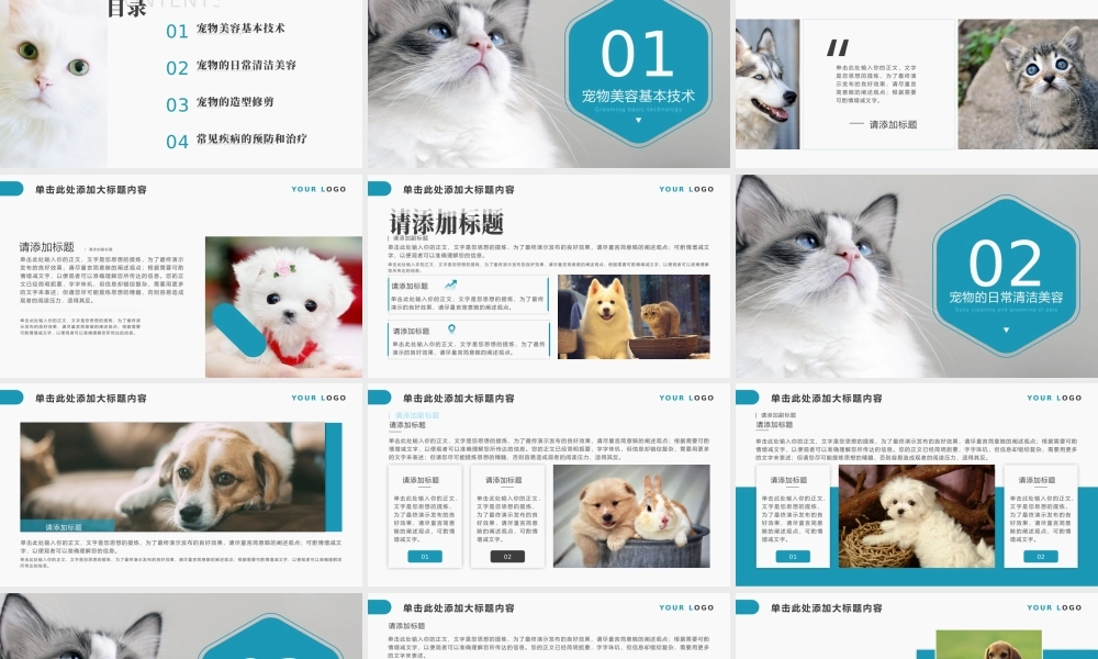 蓝色宠物之家高端宠物护理美容PPT模板.pptx