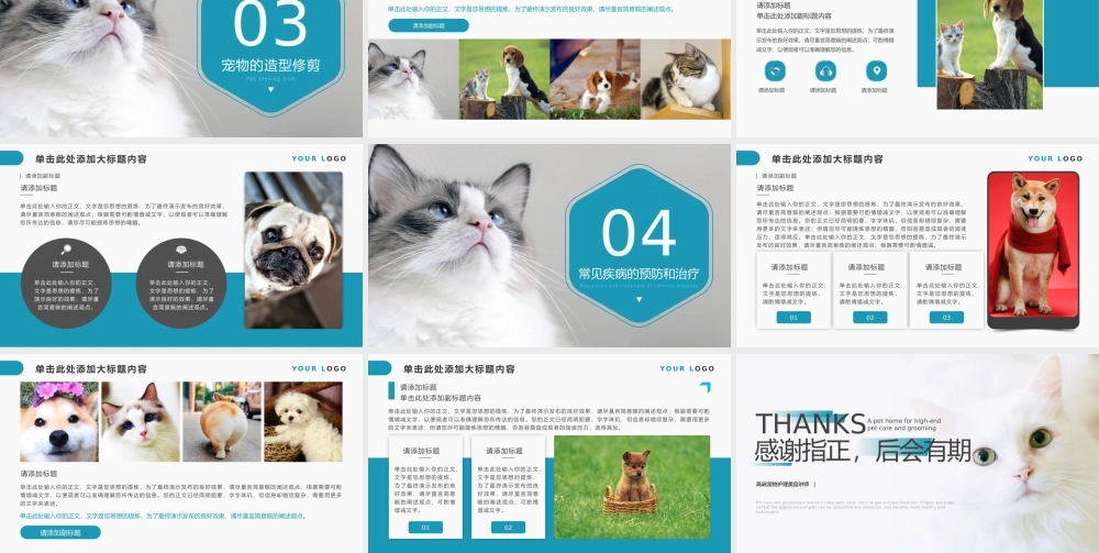 蓝色宠物之家高端宠物护理美容PPT模板.pptx