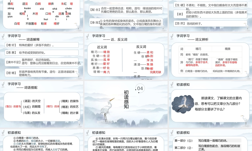 部编版五年级上册白鹭课件（第一课时）.pptx