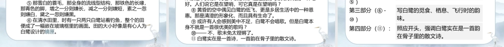 部编版五年级上册白鹭课件（第一课时）.pptx