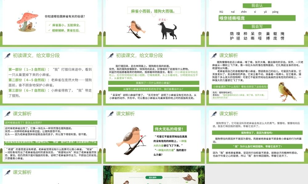 2022人教版小学四年级语文上册《麻雀》PPT课件（带内容）.ppt