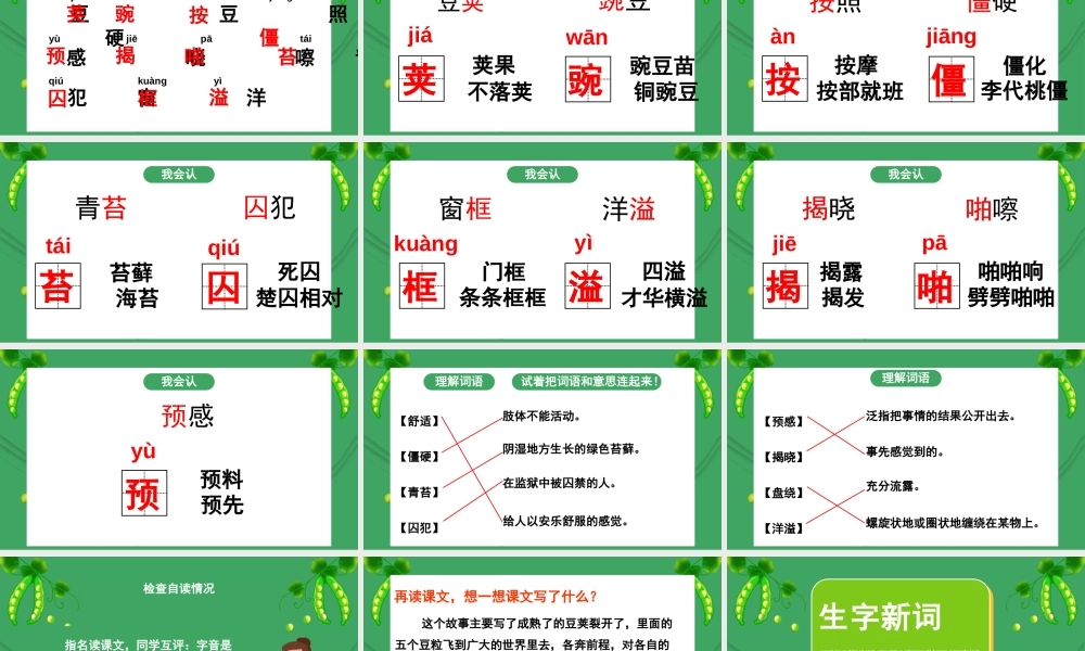 2022人教版小学四年级语文上册《一个豆荚里的五粒豆》PPT课件（带内容）.pptx