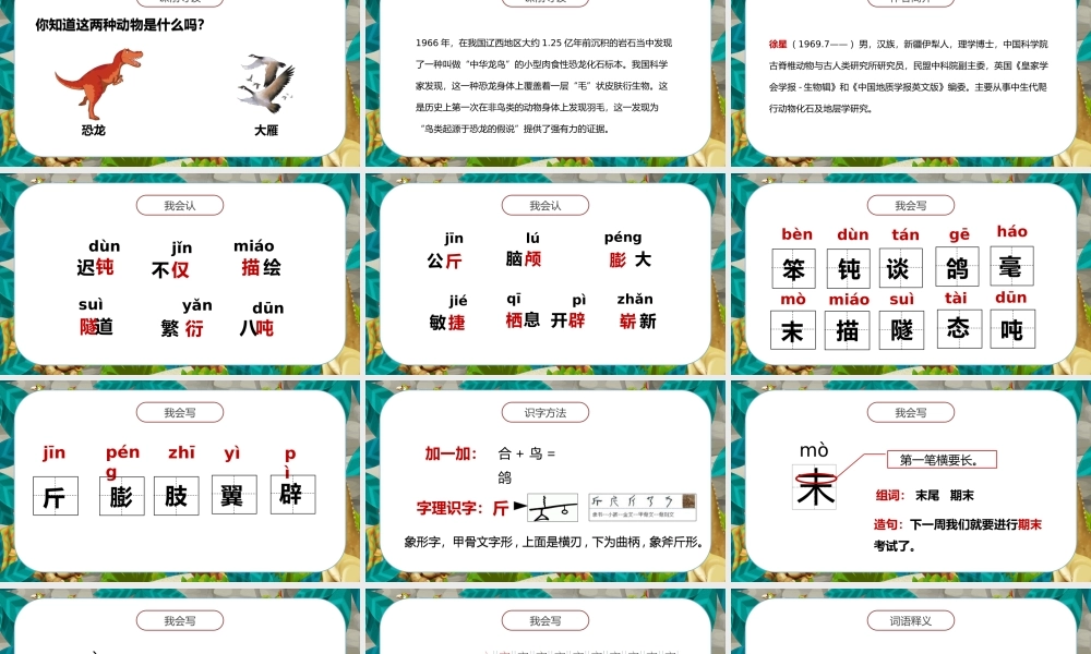 2022人教版小学四年级语文下册《飞向蓝天的恐龙》PPT课件（带内容）.ppt