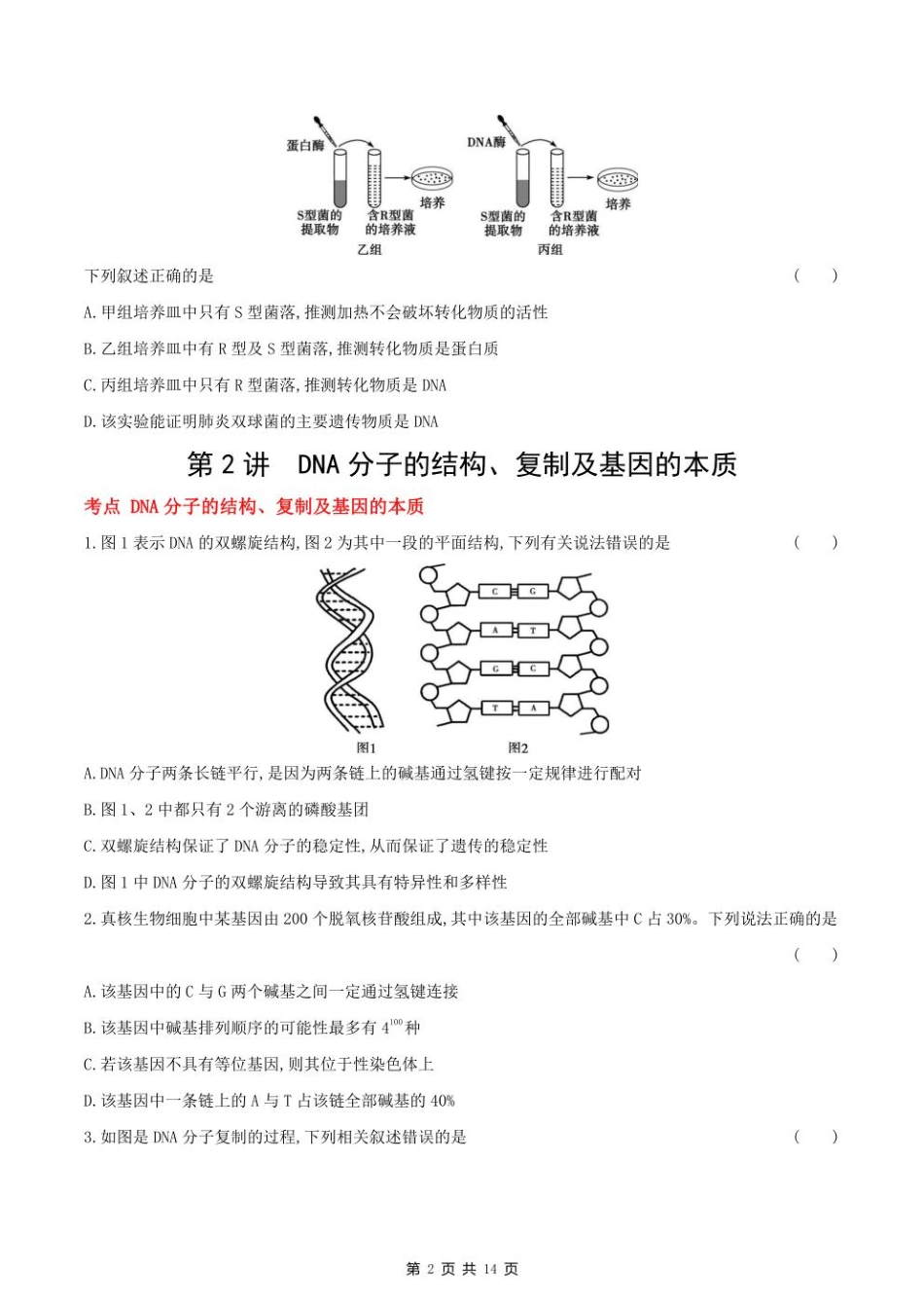2023课标版生物高考第一轮专题练习--专题六 遗传的分子基础.pdf_第2页