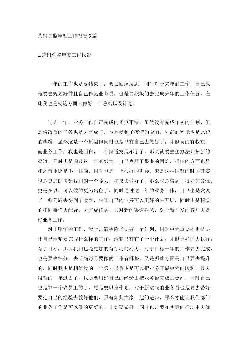 营销总监年度工作报告5篇.docx_第1页