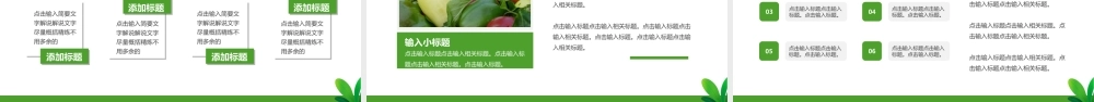 绿色清新农产品推介会PPT课件.ppt