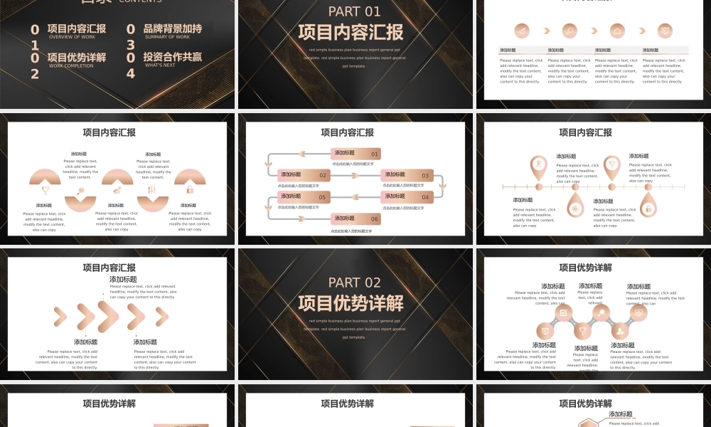 黑金相信品牌的力量企业项目介绍PPT模板.pptx