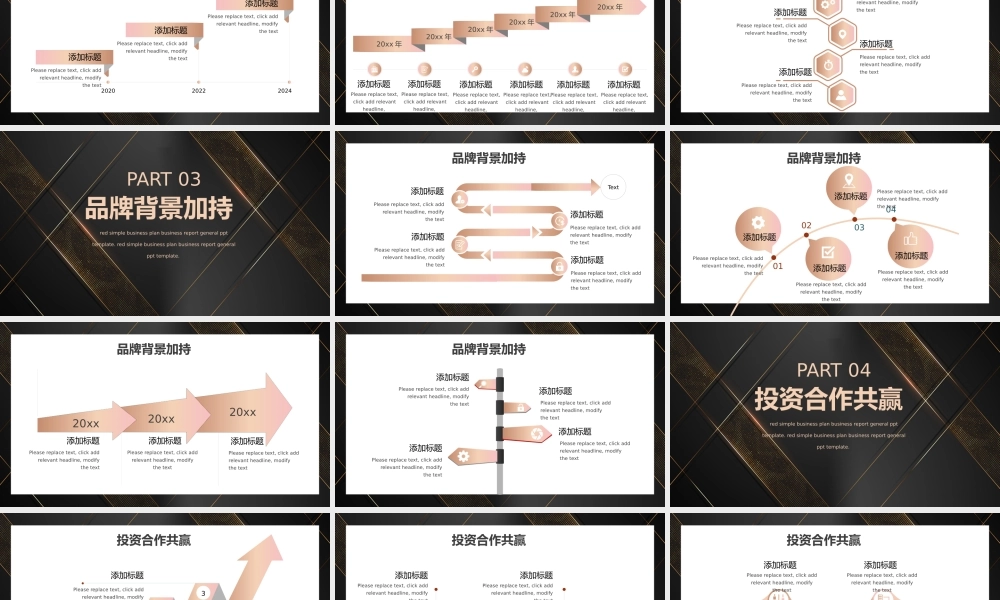 黑金相信品牌的力量企业项目介绍PPT模板.pptx