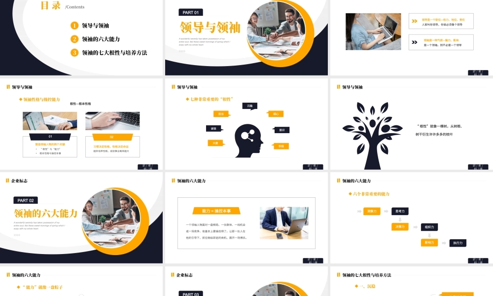 大气商务企业培训之管理者的性格和领导力PPT模板.pptx