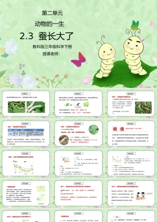 教科版三年级科学下册第二单元《动物的一生-蚕长大了》PPT课件.pptx