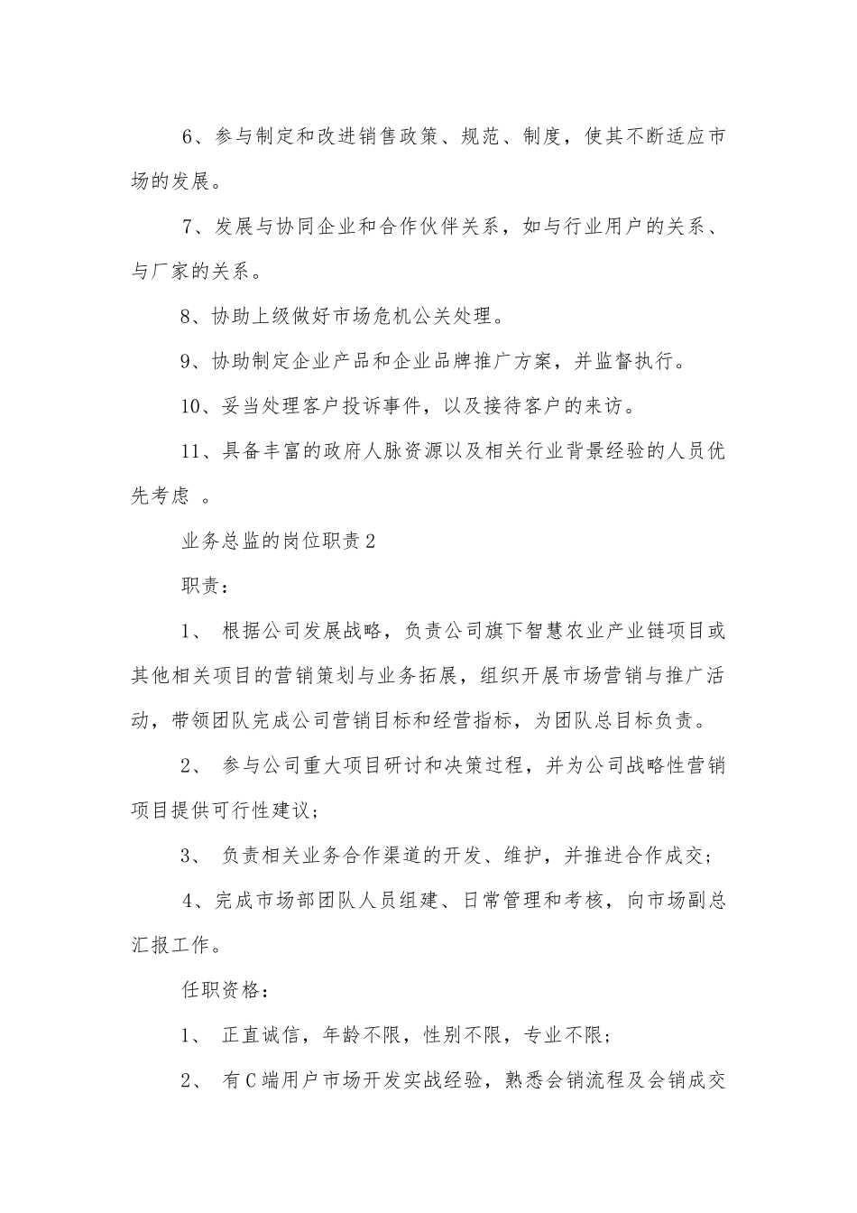 业务总监的岗位职责十篇.docx_第2页