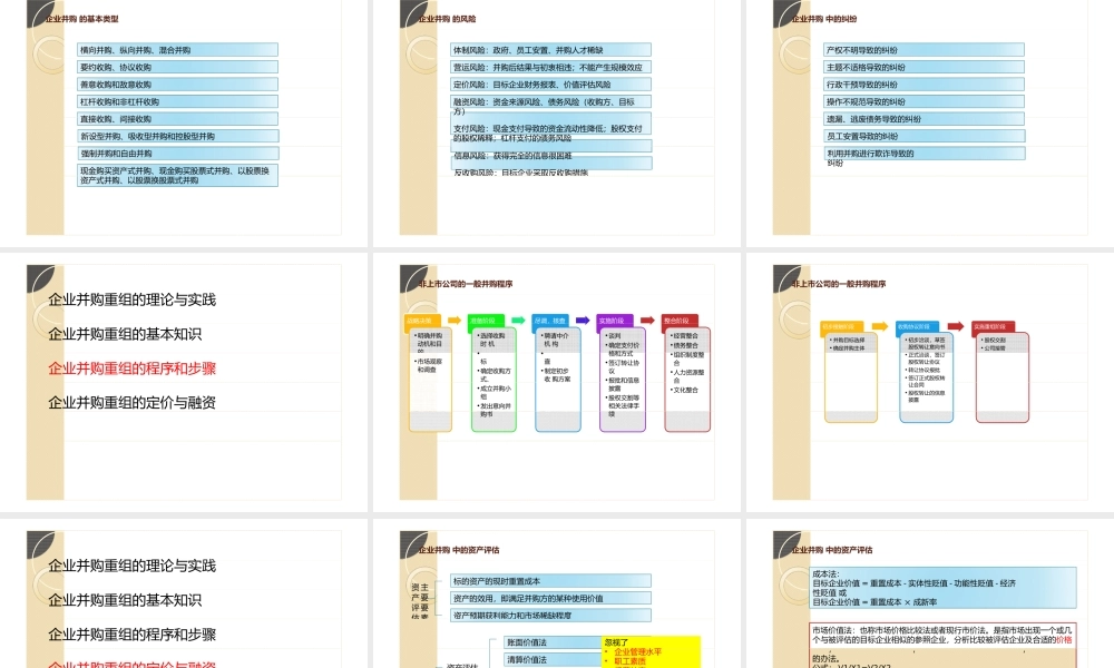 企业并购与资产重组(ppt25页).pptx