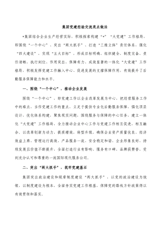 集团党建经验交流亮点做法.docx