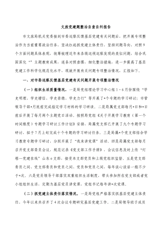 文旅党建题整治自查自纠报告.docx