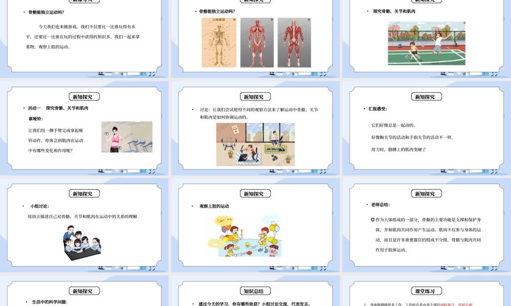 教科版四年级科学上册第四单元《我们的身体-骨骼、关节和肌肉》PPT课件.pptx
