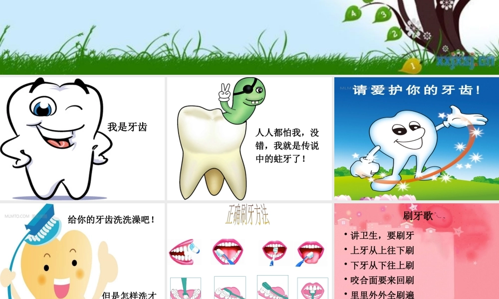中班健康《保护牙齿》微课件.pptx