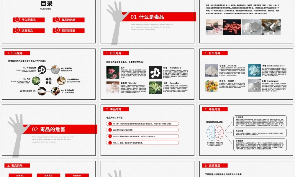 国际禁毒日珍爱生命远离毒品主题教育PPT模板下载.pptx