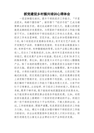 抓党建促乡村振兴培训心得体会.doc
