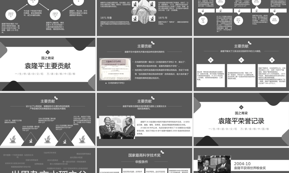 知识拓展杂交水稻之父袁隆平人物介绍PPT模板下载.pptx