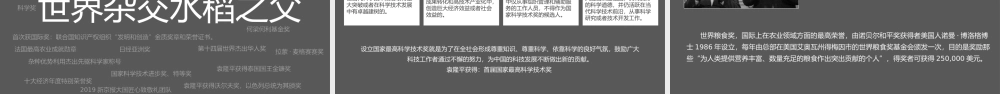 知识拓展杂交水稻之父袁隆平人物介绍PPT模板下载.pptx