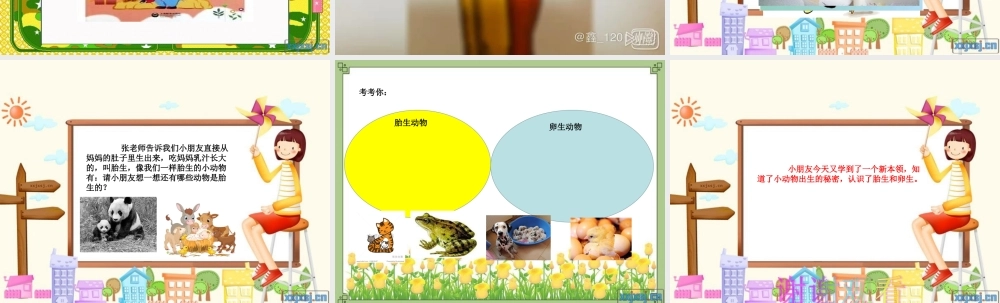 大班科学《出生的秘密》微课件.ppt