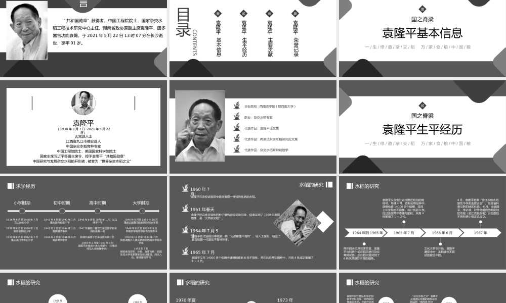 杂交水稻之父袁隆平生平介绍PPT课件（带内容）.pptx