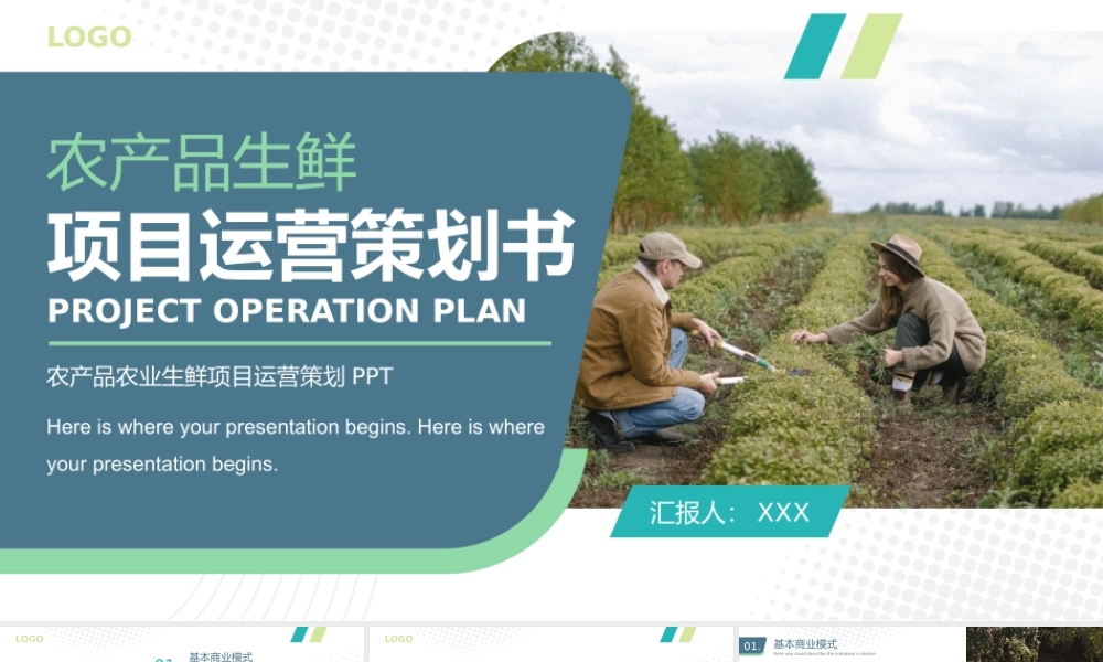 农产品生鲜项目运营策划PPT模板下载.pptx
