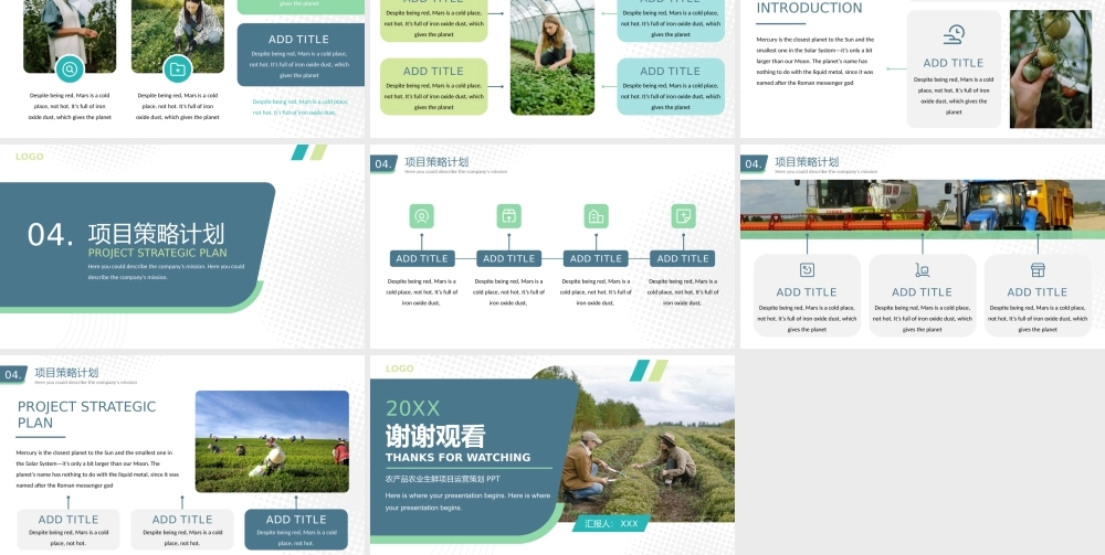 农产品生鲜项目运营策划PPT模板下载.pptx