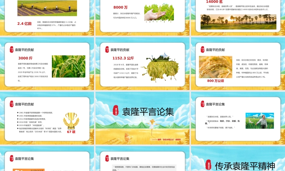 禾下乘凉梦十里稻花香缅怀“杂交水稻之父”袁隆平课件PPT模板下载.pptx