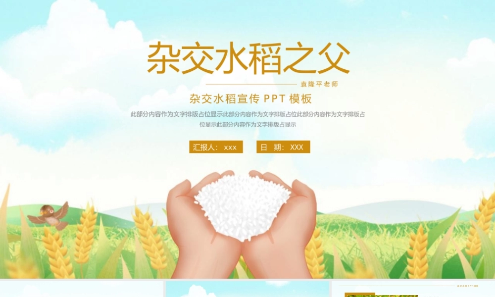 杂交水稻之父袁隆平介绍PPT模板下载.pptx