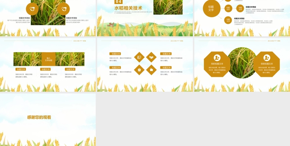 杂交水稻之父袁隆平介绍PPT模板下载.pptx