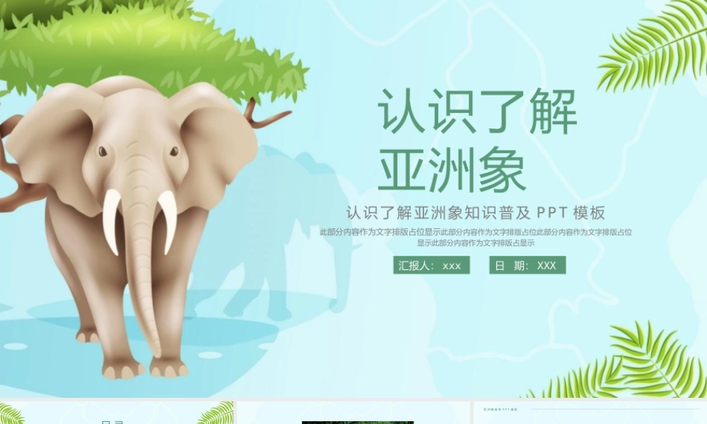 大气亚洲象知识普及宣传PPT模板下载.pptx