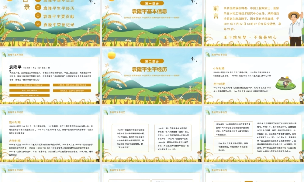 杂交水稻之父袁隆平事迹介绍宣讲课件PPT模板下载.pptx